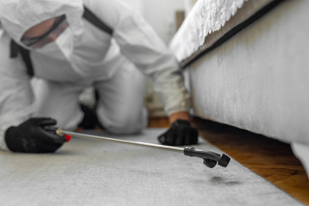 Professional Termite Control technician working in McSwain, CA