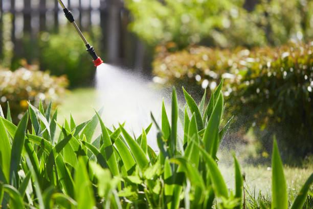 24/7 Emergency Termite Control experts in McSwain, CA