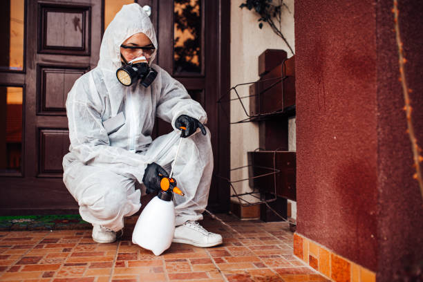 Reliable Termite Control contractor in McSwain, CA by Nex Pest Control