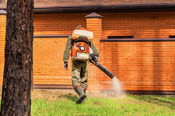 Top rated local Termite Control specialists in McSwain, CA